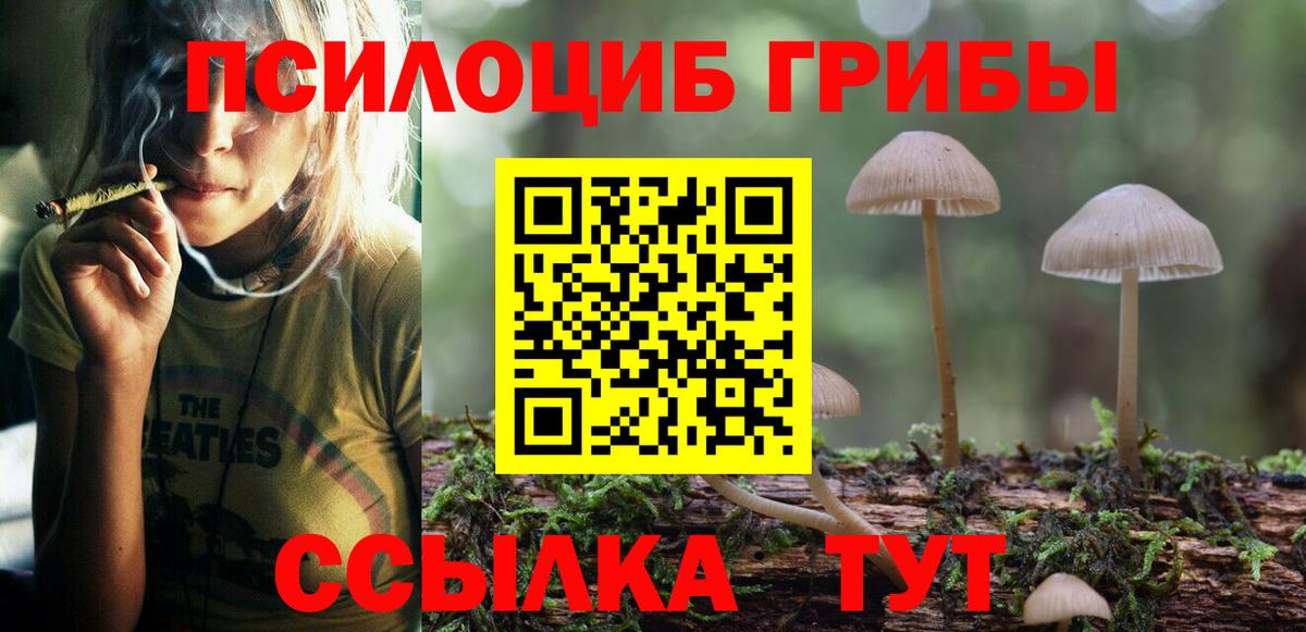цены наркотик  Псилоцибиновые грибы прущие грибы  Вход с VPN  Галлюциногенные грибы мухоморы  Елец 